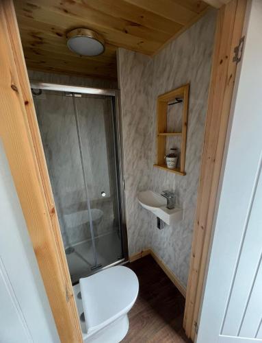 a bathroom with a toilet and a glass shower at The school lodge in Burwarton