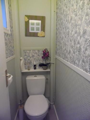 a bathroom with a white toilet and a mirror at appartement pour famille amis ou colègue in Cholet