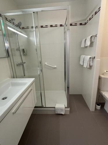 a bathroom with a shower and a sink at Castel Fleuri in Tours