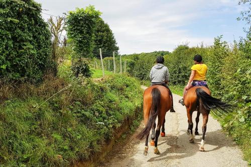two people riding horses down a dirt road at Holiday resort Normandie Forges les Eaux Apartment for 5 pers in Forges-les-Eaux