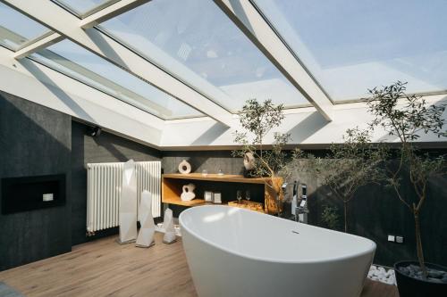 Privilege Suites II - LoftAffair Collection