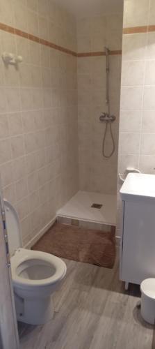 une salle de bain avec toilettes, douche et lavabo dans l'établissement La casa d emma, à Linguizzetta