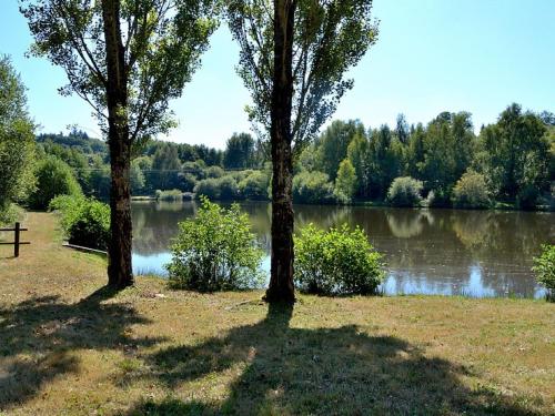 dos árboles en un campo junto a un lago en Serene Holiday Home in Cussac with Private Terrace Barbeque, en Cussac