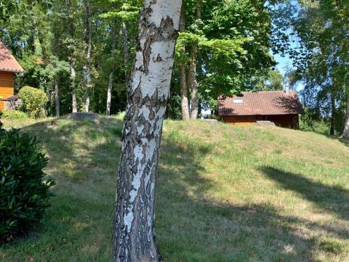 un albero in un campo con una casa sullo sfondo di Serene Holiday Home in Cussac with Private Terrace Barbeque a Cussac