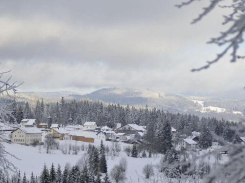 a town covered in snow with trees and mountains at Holiday home our little hunting lodge in Philippsreut