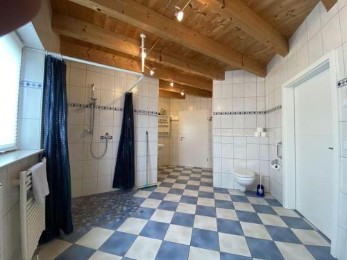 un baño con ducha y WC en Holiday home Red Milan, en Irmenach