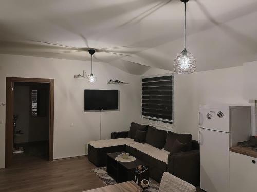 Un televizor și/sau centru de divertisment la Apartman Tara