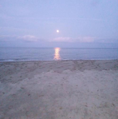 a view of the beach with the moon in the sky at Akrotiri rooms in Nea Mesangala