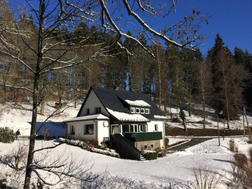 a house in the snow with snow on it at Holiday home Waldhaus am Burbach in Bad Berleburg
