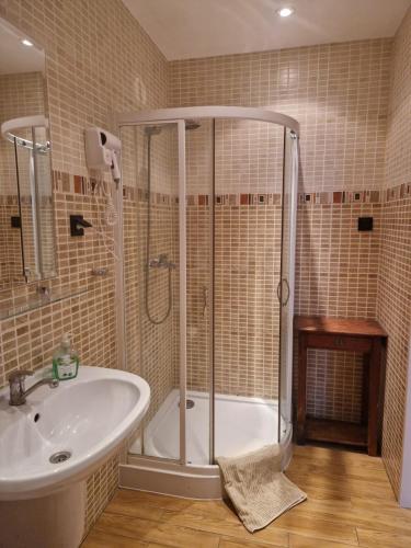 a bathroom with a shower and a tub and a sink at WILLA VASCO KOTWICA in Rewa