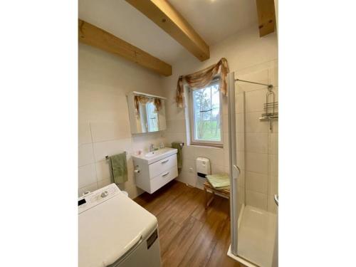 a small bathroom with a sink and a shower at Holiday home Elster-Swedenhaus 