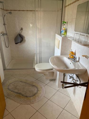 a bathroom with a sink and a toilet and a shower at Ingrid Merkle aus Neckarsulm in Karby