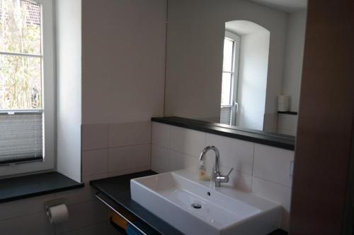 a bathroom with a sink and a mirror at Ferienwohnung Christine in Strullendorf