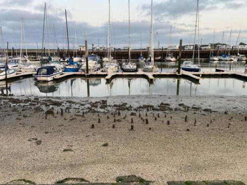 a marina with boats and birds on the sand at Ferien im Wangerland - Haus Wiesenweg - Apartment 1 1OG in Horumersiel