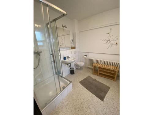 een badkamer met een douche, een toilet en een wastafel bij Holiday apartment Luna in Rüdesheim am Rhein