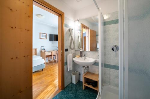 泰塞羅的住宿－埃里卡酒店，一间带水槽和淋浴的浴室