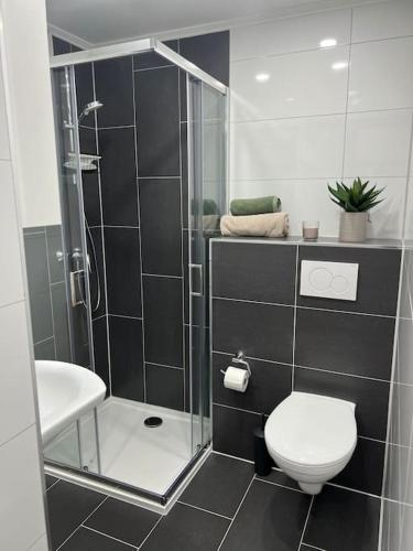 a bathroom with a shower and a toilet and a sink at Gemütliche Wohnung in Baiersbronn in Baiersbronn