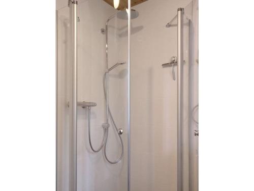 La salle de bains est pourvue d'une douche avec une porte en verre. dans l'établissement Ahlers holiday apartment, à Schneverdingen