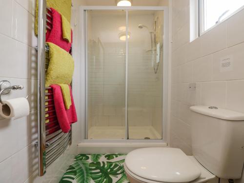 a bathroom with a shower and a toilet in it at Palm Lodge in Penzance