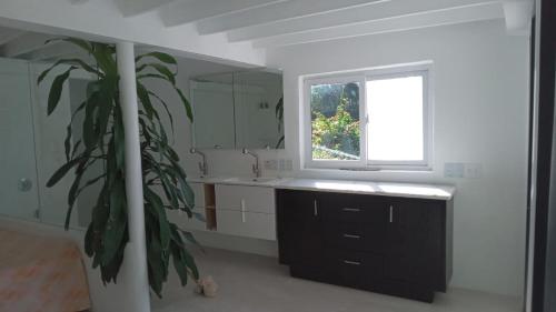 a bathroom with a sink and a window and a plant at Ocean view Rocky Hill in Content