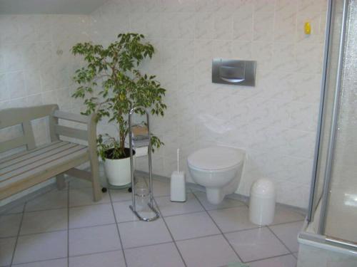 La salle de bains est pourvue de toilettes et d'une plante à côté d'un banc. dans l'établissement Holiday apartment Haus Rita, à Hinterschmiding