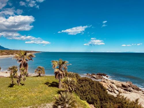 grupa palm na plaży z oceanem w obiekcie Punta di Mare, appartements comme sur un bateau w mieście Linguizzetta