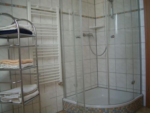 een badkamer met een douche met een glazen achterdeur bij Holiday apartment Fink in Günzburg