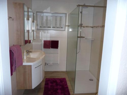a bathroom with a sink and a glass shower at Holiday apartment Breit in Kirchdorf im Wald