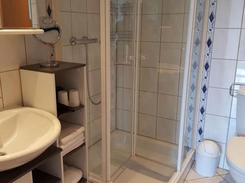 a bathroom with a shower and a sink at Holiday apartment Aufderhaar in Ostbevern