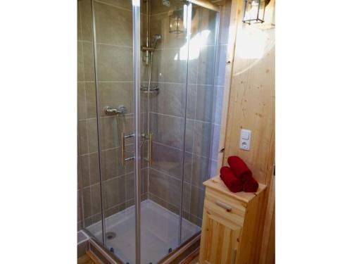een douche met een glazen deur in de badkamer bij Holiday apartment Almstüberl in Bernbeuren