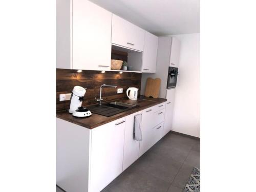 Una cocina o zona de cocina en Pleasant apartment with terrace