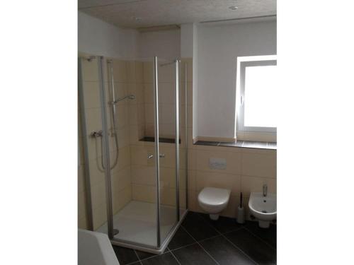 a bathroom with a shower and a toilet and a sink at SonnenHof holiday apartment 4 in Enkirch