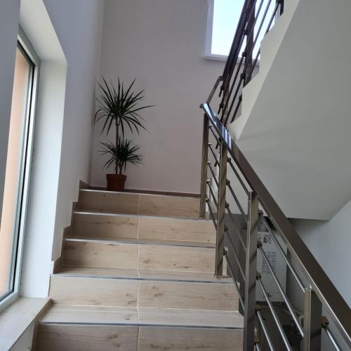 Φωτογραφία από το άλμπουμ του Apartman Dalmacija σε Ečka