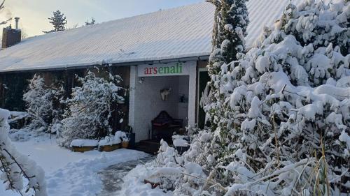 胡爾特的住宿－Galerie in Hürth，前面有雪覆盖的树木的建筑