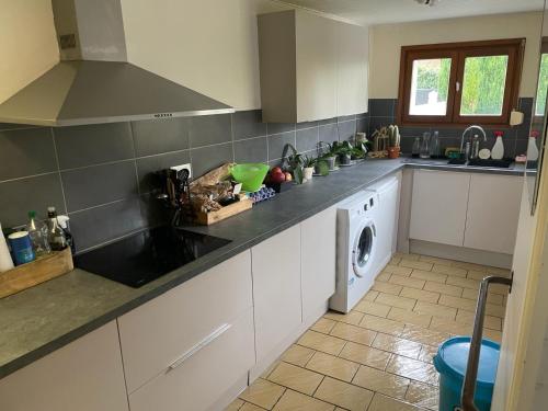 une cuisine avec un évier et une machine à laver dans l'établissement Paul house, à Verlinghem