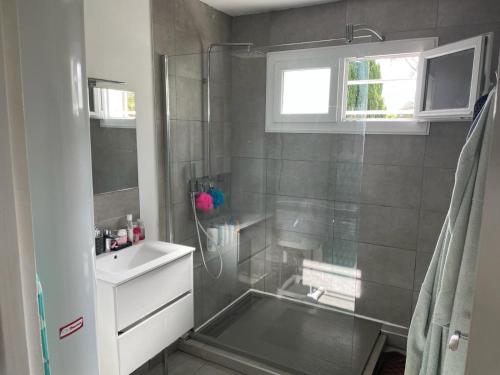 une salle de bain avec douche et lavabo dans l'établissement Paul house, à Verlinghem