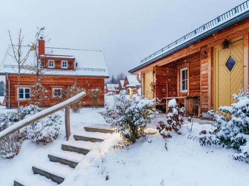 una casa con un patio cubierto de nieve junto a un edificio en Holiday homes in the Schierke Harzresort Schierke, en Schierke