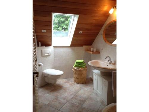 een badkamer met een toilet en een wastafel bij Holiday apartment Xantener Aue in Xanten