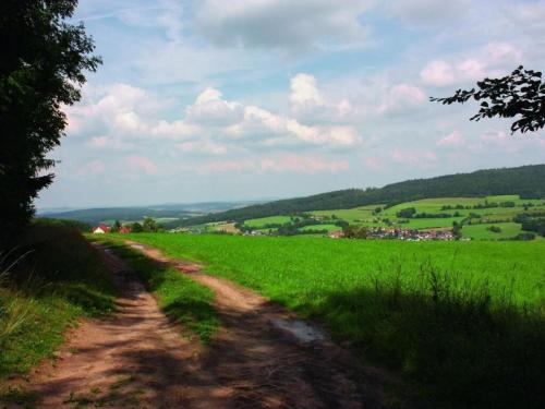 a dirt road in the middle of a green field at Holiday home Anja in Motten in Motten