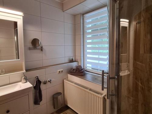 een badkamer met een douche, een wastafel en een raam bij Holiday apartment in Annaberg-Buchholz