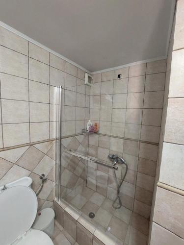 a bathroom with a shower and a toilet at Μεζονέτα Αιγαίο in Chios