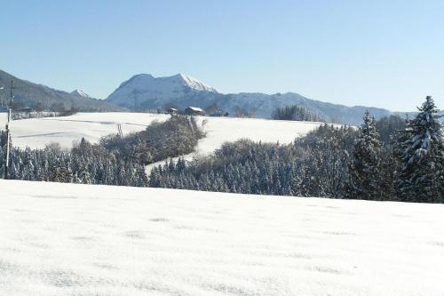 een besneeuwde heuvel met bomen en bergen op de achtergrond bij Holiday Village Vorauf Siegsdorf in Siegsdorf