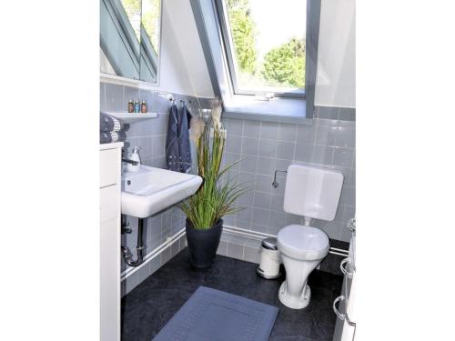 a bathroom with a toilet and a sink and a window at Holiday apartment Green House in Aumühle