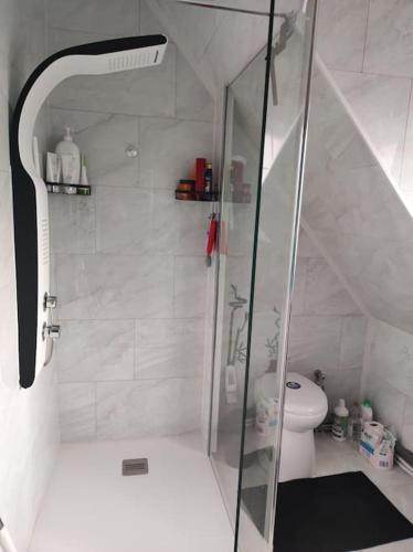 une salle de bain avec douche et toilettes dans l'établissement CHEZ ISA - Maison à 2 km de la plage de Le Portel 62, à Outreau