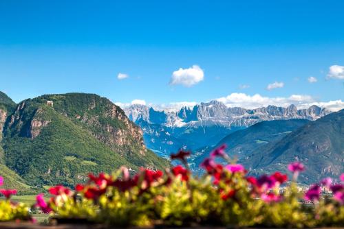 a bunch of flowers with mountains in the background at Haus Zöschg in Andrian