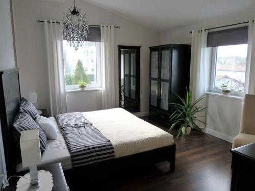 ein Schlafzimmer mit einem Bett und zwei Fenstern in der Unterkunft Holiday apartment Schedler in Gerbrunn