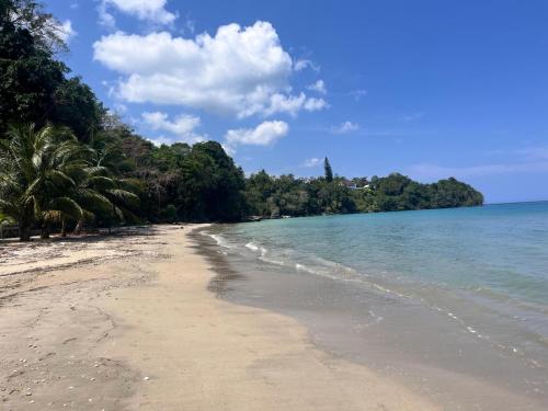 a sandy beach with palm trees and the ocean at Ocean view Rocky Hill in Content