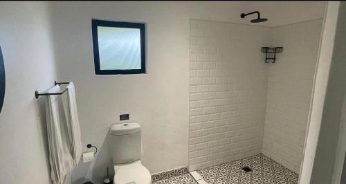 a bathroom with a toilet and a window at Dieu Donne Cottage in Underberg