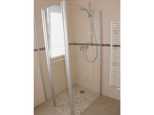 een douche met een glazen deur in een badkamer bij Holiday apartment "Sun Catcher" in Dierhagen