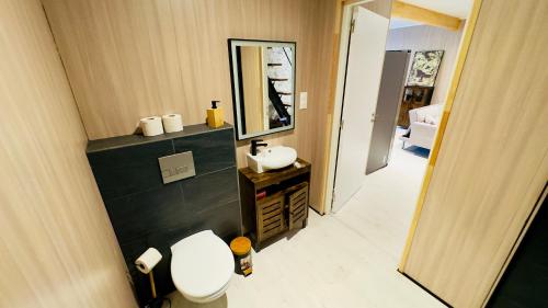 a bathroom with a toilet and a sink and a mirror at Le 627 in Saumur